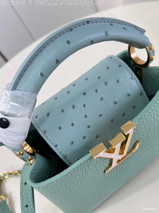 VUITTON CAPUCINES MINI-22*12*8CM LOUIS 1228